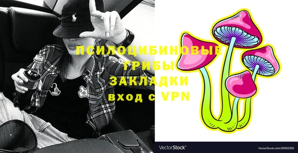 мдпв Майский