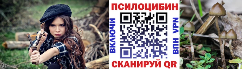 Купить где  Кызыл  Псилоцибиновые грибы Magic Shrooms 